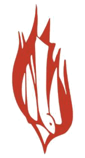 Cliquer ici pour visiter le site